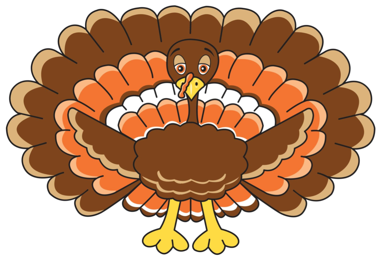 brown turkey spreading wings with orange and brown feathers