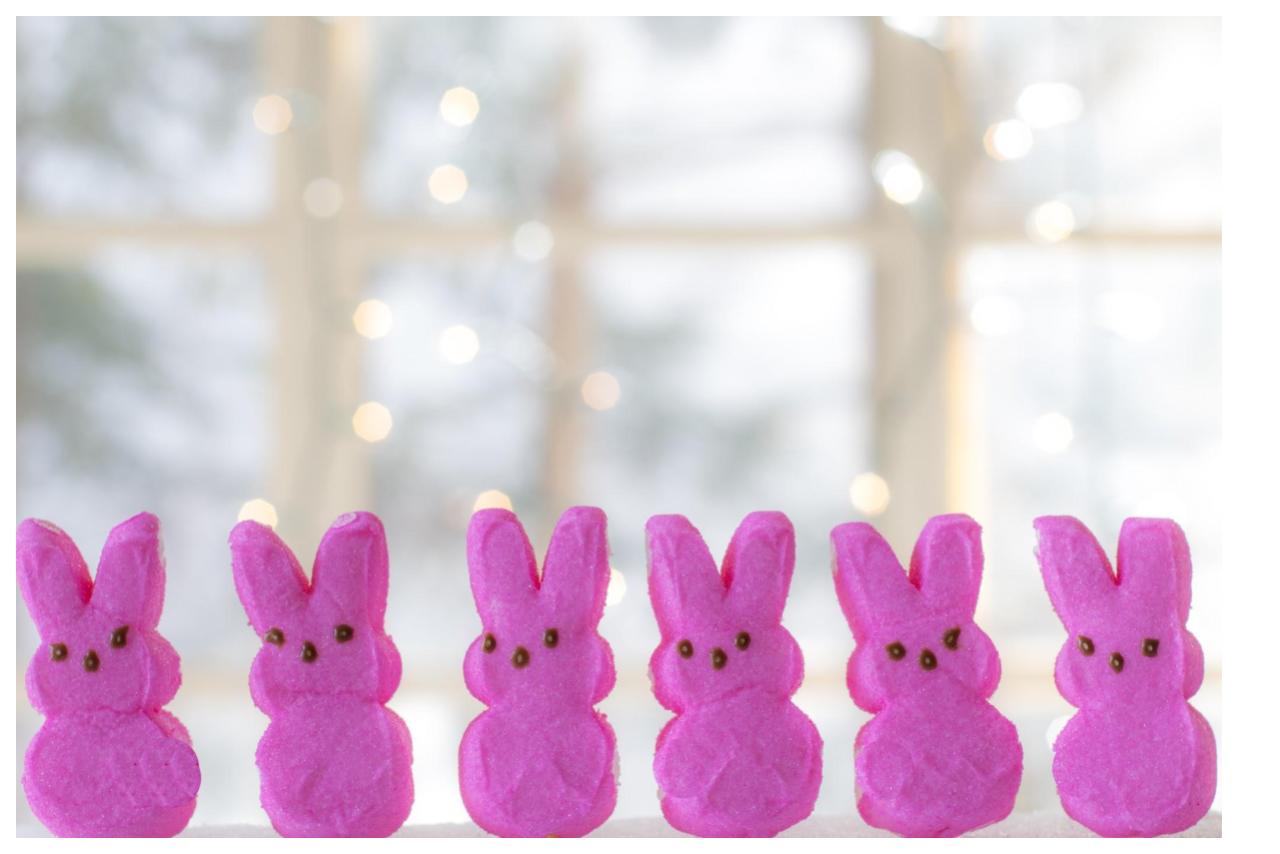 row of 6 pink peeps lined up in a windowsill