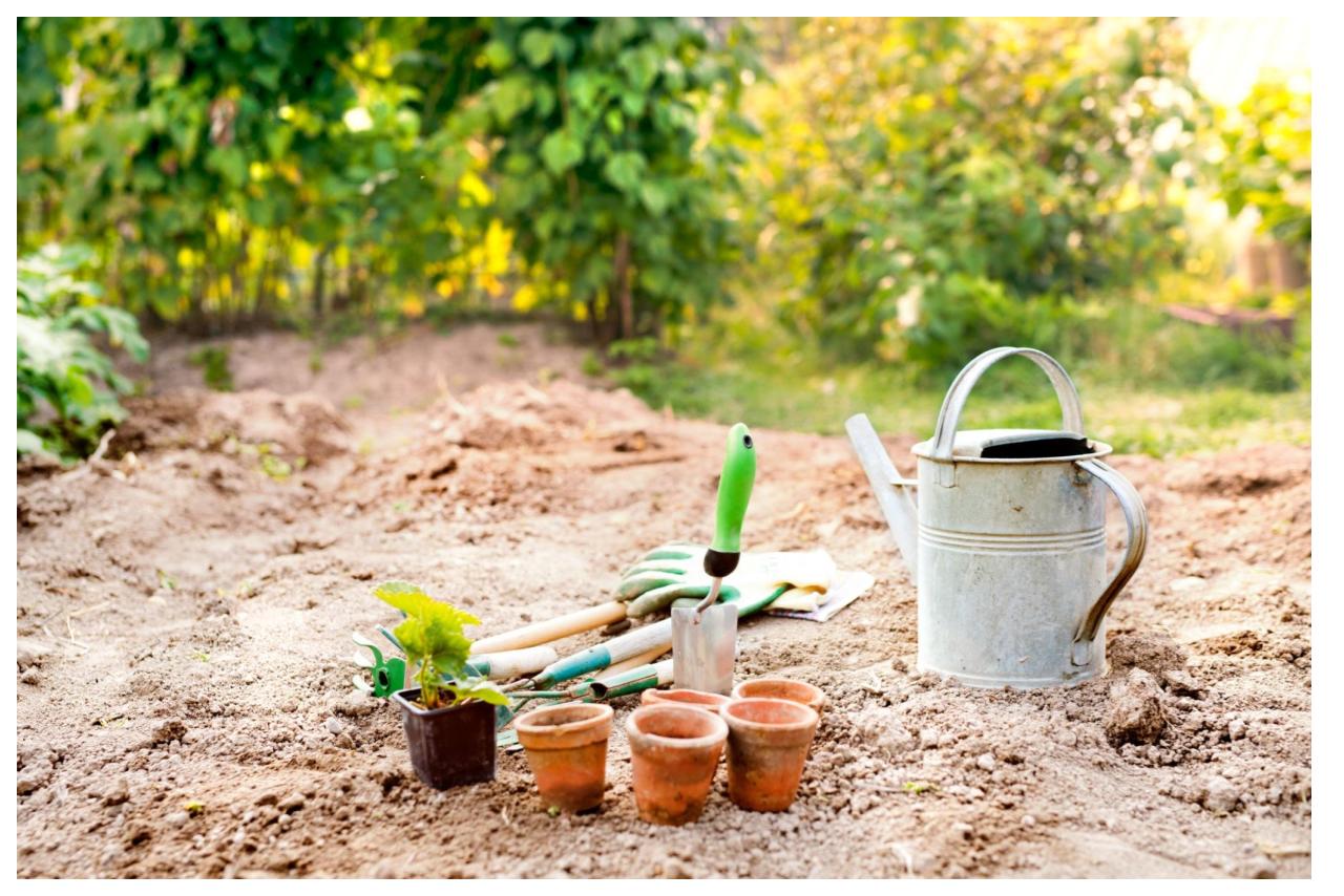 gardening tools including watering can, flower pots, and small shovels